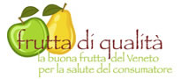 Immagine demo