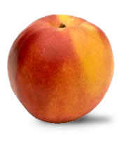 White or yellow nectarine