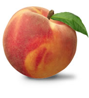 Peach (white or yellow flesh)