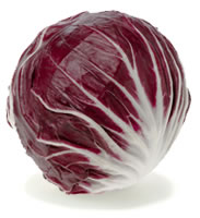 Chioggia radicchio