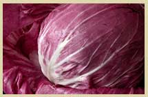 Radicchio