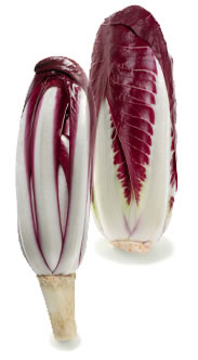 Early and late red radicchio