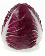 Verona radicchio