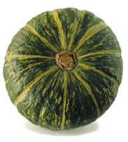 Zucca delica