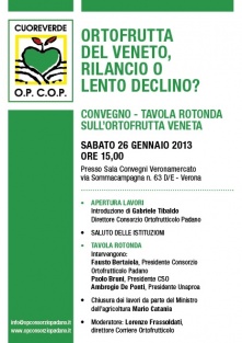 Ortofrutta veneta. La competitivit delle imprese e laggregazione dei produttori possono rilanciare il comparto. E quanto emerso dalla tavola rotonda veronese tra esperti e il Ministro Catania